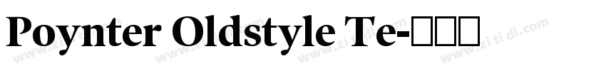 Poynter Oldstyle Te字体转换